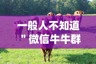 一般人不知道 ＂微信牛牛群有透视挂吗”作弊挂(辅助外挂+
