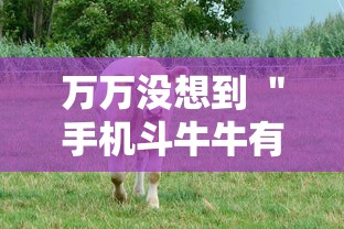 万万没想到 ＂手机斗牛牛有挂吗”掌握辅助功能必胜规则