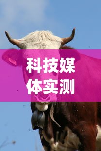 科技媒体实测“蛮王牛牛群有挂吗”(最新透视辅助上线)