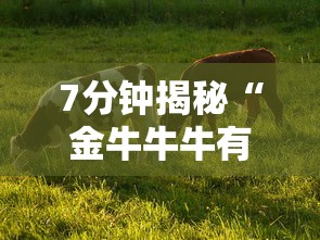 7分钟揭秘“金牛牛牛有挂吗”详细辅助教程分享
